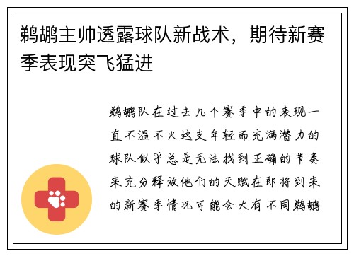 鹈鹕主帅透露球队新战术，期待新赛季表现突飞猛进
