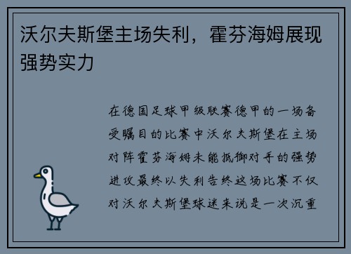 沃尔夫斯堡主场失利，霍芬海姆展现强势实力