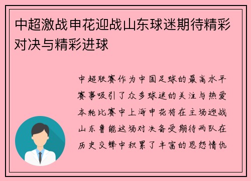 中超激战申花迎战山东球迷期待精彩对决与精彩进球