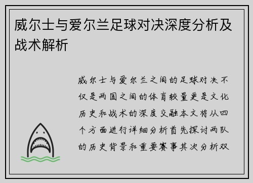 威尔士与爱尔兰足球对决深度分析及战术解析