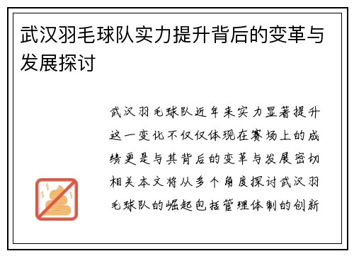 武汉羽毛球队实力提升背后的变革与发展探讨