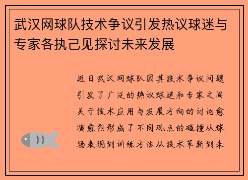 武汉网球队技术争议引发热议球迷与专家各执己见探讨未来发展